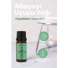 Bade Natural Adaçayı Uçucu Yağı Saf 10 ml