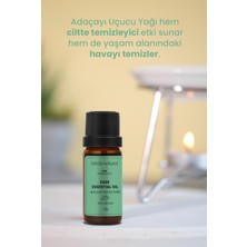 Bade Natural Adaçayı Uçucu Yağı Saf 10 ml