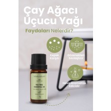 Bade Natural Çay Ağacı Uçucu Yağı %100 Saf 10 ml