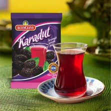 Altıncezve Karadut Aromalı Içecek Tozu 250 gr - 10LU Paket