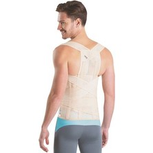 Vizor Dorselomber Korse Standart