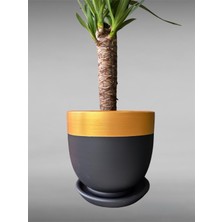 Violet Decor Çömlek Saksı Tabaklı Takım Y:30 cm-Ç:31 cm