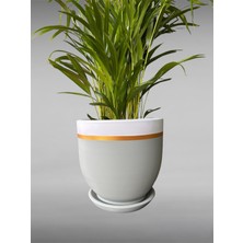 Violet Decor Çömlek Saksı Tabaklı Takım Y:30 cm-Ç:31 cm