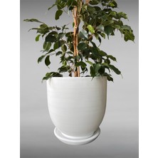 Violet Decor Çömlek Saksı Tabaklı Takım Y:30 cm-Ç:31 cm