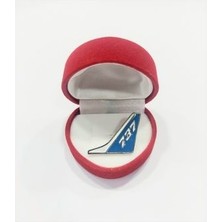 Boeing 737 Uçak Kuyruk Rozet