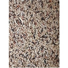 Kanarya Yemi 1kg