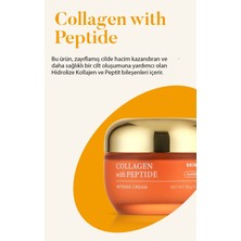 Kore Kozmetik Yüksek Nemlendirici Kolajen ve Peptit Içeren Krem