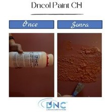 Duvar Plastik Silikon Boya Sökücü Ol Paint CH-12KG