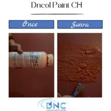 Iç ve Dış Cephe Boya Sökücü- Dncol Paint Ch 700GR