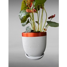 Violet Decor Çömlek Saksı Tabaklı Takım Y:24 cm-Ç:24 cm