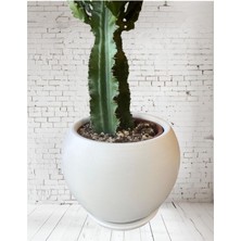 Violet Decor Çömlek Saksı Tabaklı Takım Y:24 cm-Ç:24 cm