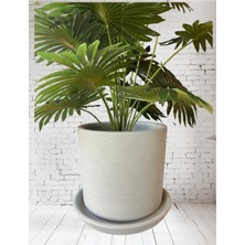 Violet Decor Çömlek Saksı Tabaklı Takım Y:24 cm-Ç:24 cm