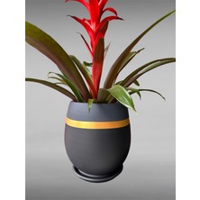 Violet Decor Çömlek Saksı Tabaklı Takım Y:24 cm-Ç:24 cm
