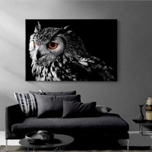 Tosbart Owl Dekoratif Kanvas Tablo