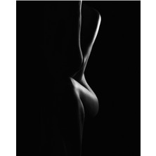 Tosbart Nü Kadın Kanvas Tablo Salon Oturma Yatak Odası Ofis Cafe Için Duvar Dekoru