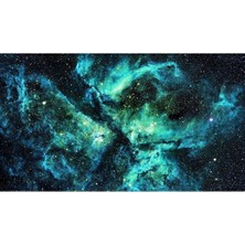 Tosbart Kanvas Tablo