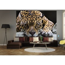 Tosbart Dekoratif Tiger Kanvas Tablo