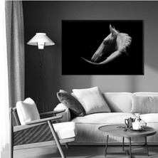 Tosbart Asil At Portresi Kanvas Tablo