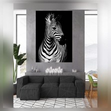 Tosbart Zebra