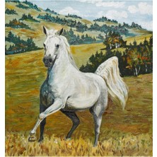 Tosbart Dekoratif The White Horse Duvar Kanvas Tablo