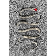 Tosbart Kanvas Tablo Yılan Tema Grı 1063