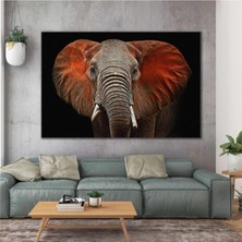Tosbart Dekoratif Elephant Kanvas Tablo