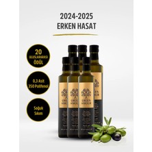 Green Amour Erken Hasat 6'lı Paket %100 Natürel Sızma Zeytinyağı Soğuk Sıkım 250 ml