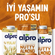 Alpro Bademli İçecek 250ml