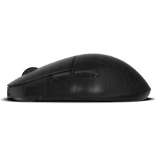 Endgame Gear XM2W 4K Kablosuz Oyuncu Mouse - Dark Frost