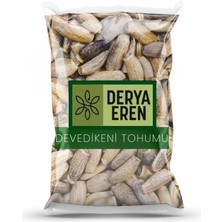 Derya Eren Deve Dikeni Tohumu (Silybum Marianum) 1 kg