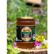 Kayadibi Organik Polifloralı Süzme Çiçek Bal 850 gr