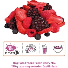 Pol's Freeze Fresh Berry Mix 16 g x 3 Adet