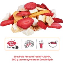 Pol's Freeze Fresh Fruit Mix 20 g x 7 Adet