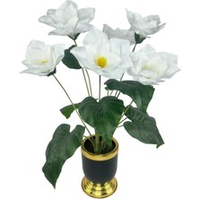 Yapay Çiçek Islak Manolya Çiçeği 6 Çiçekli 65CM Gold Siyah Darbuka Galvaniz Vazoda Salon Çiçeği