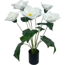 Yapay Çiçek Islak Manolya Çiçeği 6 Çiçekli 65CM Siyah Saksıda  Salon Çiçeği