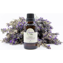 Lavande Organik Lavanta Yağı (L. Intermedia) 50ML-İÇTEN Damlalıklı
