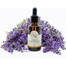 Lavande Organik Lavanta Yağı (L. Angustifolia) 30ML-CAM Damlalıklı