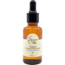 Lavande Organik Lavanta Yağı (L. Intermedia) 30ML-CAM Damlalıklı