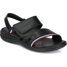 U.S. Polo Assn.  Davın  Gerçek Deri Siyah Anatomik Taban Erkek Terlik