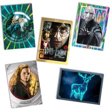 Panini Harry Potter Magical Inspiration Trading Cards 5 Paket (30 Kart)