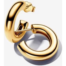 Lines Bijuteri Gold Renk Gümüş Yuvarlak Açık Halka Küpe