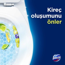 Domestos Tuvalet Bloğu Limon Bahçesi 100 G