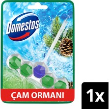 Domestos Tuvalet Bloğu Çam Ormanı 50 G