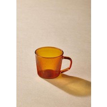 The Mia Striped Amber Borosilikat Cam Tekli Fincan 140ML
