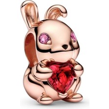 Hector Co Jewellery Kırmızı Kalp Taşlı Tavşan Charm