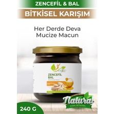 Eylife Naturel Ballı Zencefilli Bitkisel Karışım Macun 240 gr