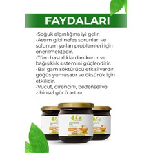 Eylife Naturel Ballı Zencefilli Bitkisel Karışım Macun 240 gr