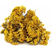 Derya Eren Civan Perçemi (Achillea Millefolium)1 kg