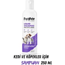 Petfor Kedi ve Köpekler Için Göz Bakım Damlası 50 ml