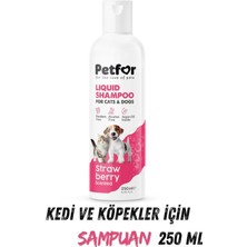 Petfor Kedi ve Köpekler Için Göz Bakım Damlası 50 ml